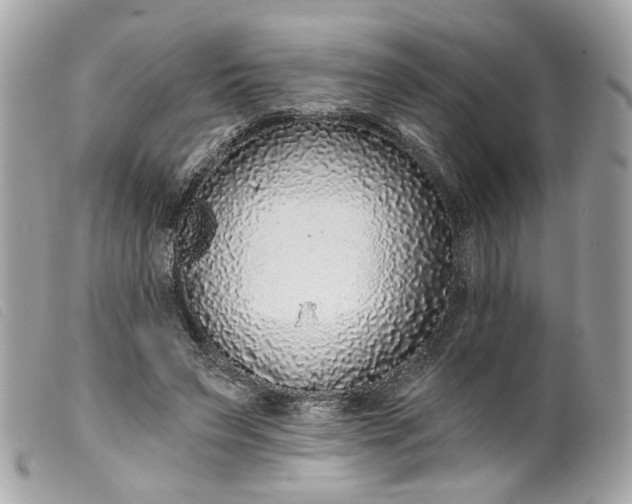 X0000099540495200805301503