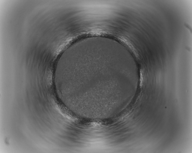 X0000099540496200805301503