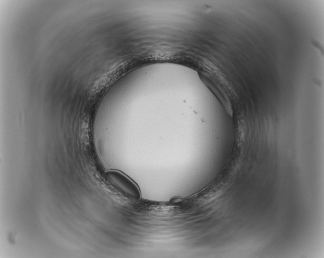 X0000099540497200805301503