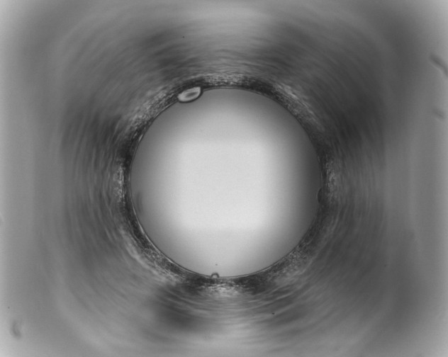 X0000099540498200805301503