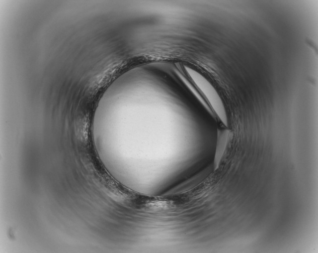 X0000099540499200805301503