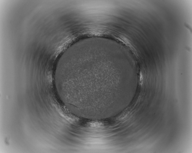 X0000099540500200805301503