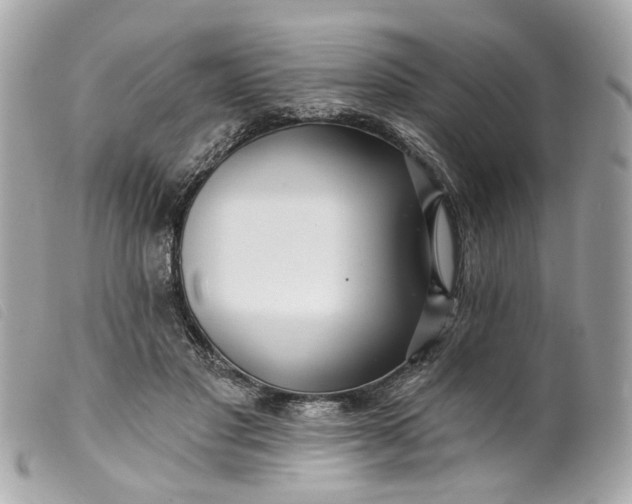 X0000099540501200805301503