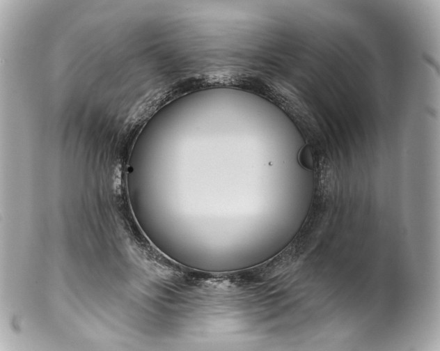 X0000099540502200805301503