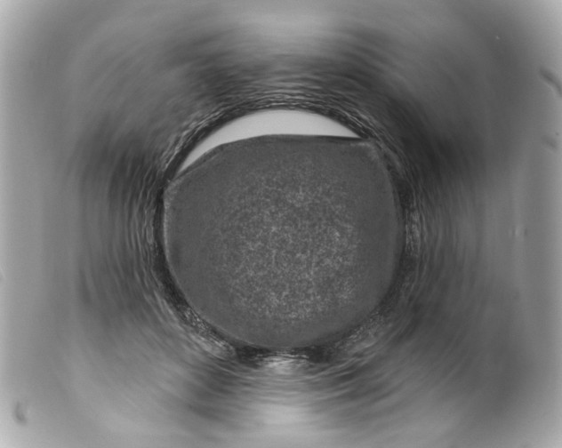 X0000099540504200805301503