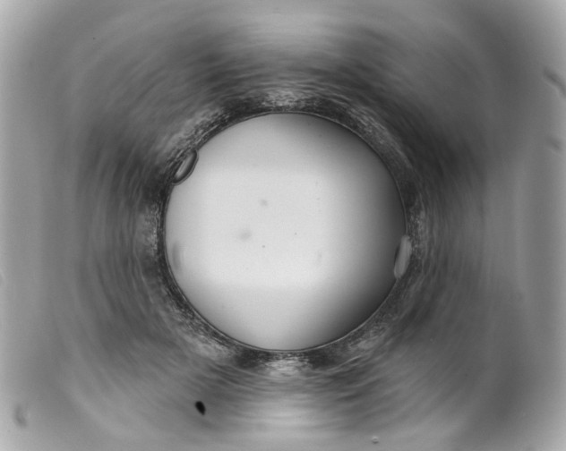 X0000099540505200805301503