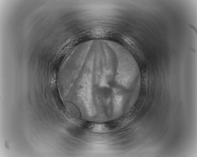 X0000099540507200805301503