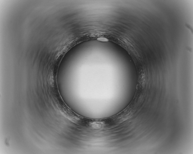 X0000099540508200805301503