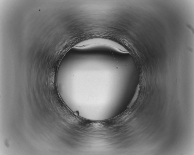 X0000099540509200805301503