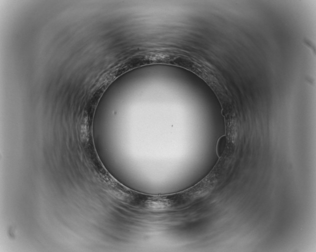 X0000099540510200805301503