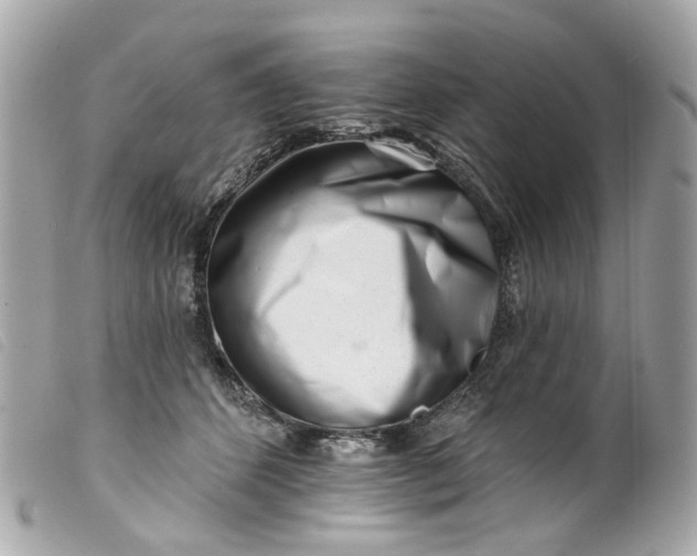 X0000099540512200805301503