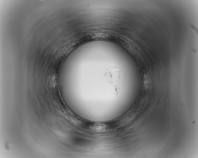 X0000099540514200805301503