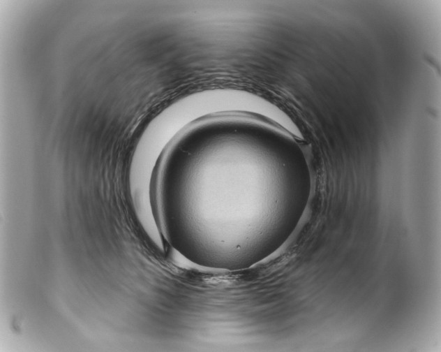 X0000099540516200805301503