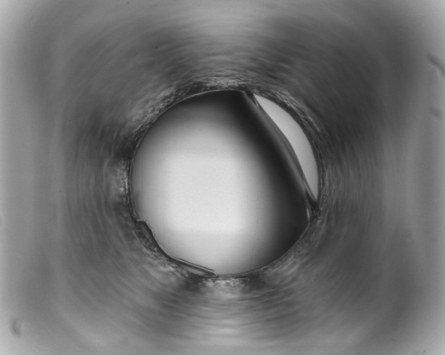 X0000099540517200805301503