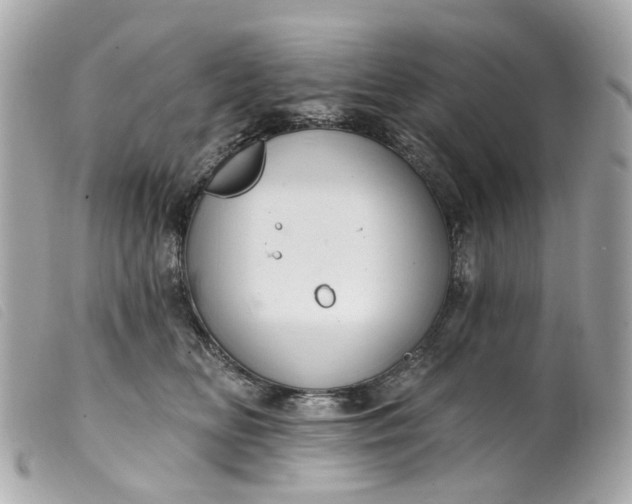 X0000099540518200805301503