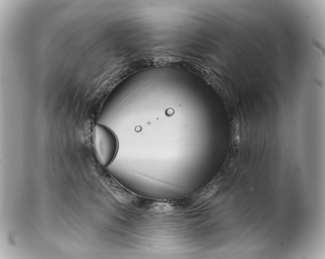 X0000099540519200805301503