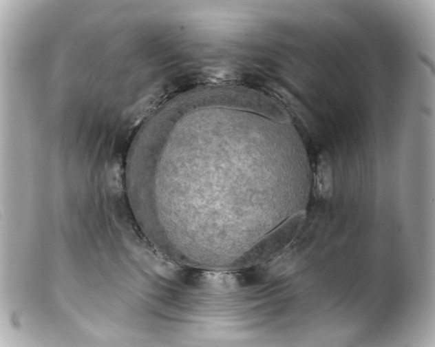 X0000099540520200805301503