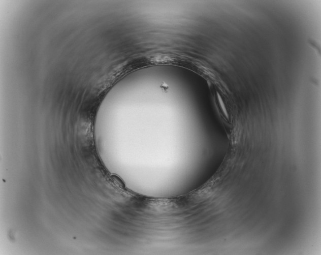 X0000099540521200805301503