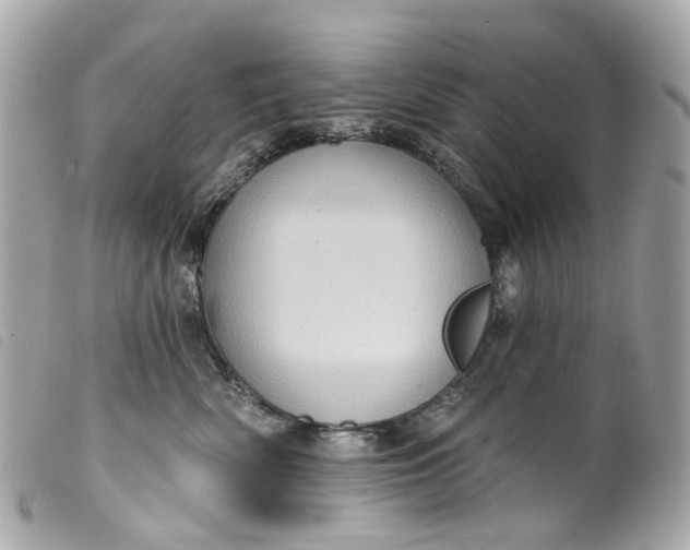 X0000099540522200805301503