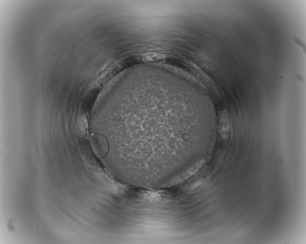 X0000099540523200805301503