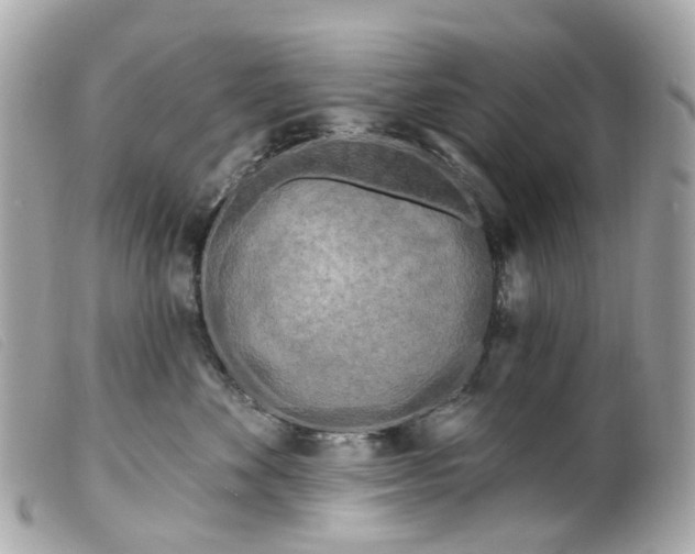 X0000099540524200805301503