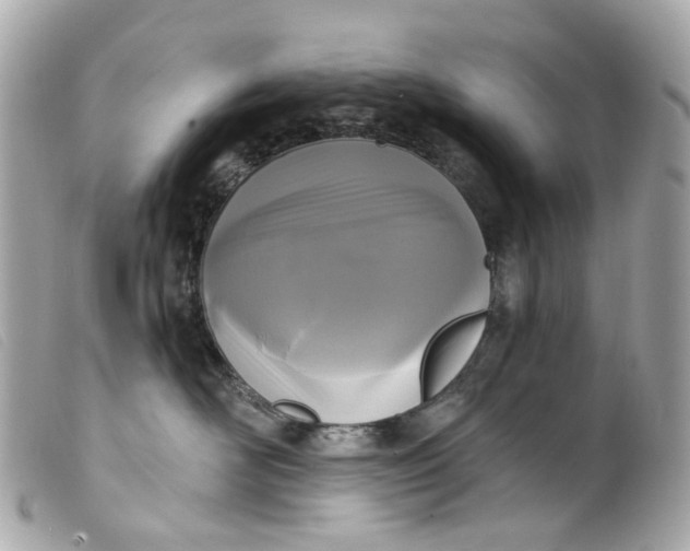 X0000099540526200805301503