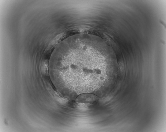 X0000099540527200805301503