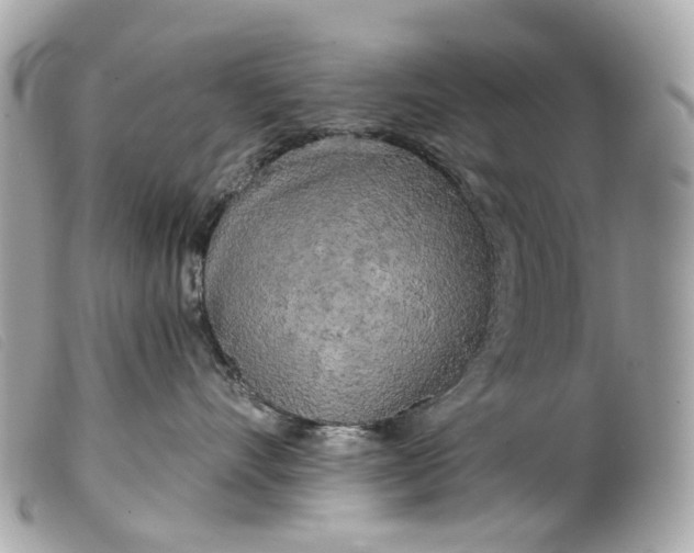 X0000099540528200805301503