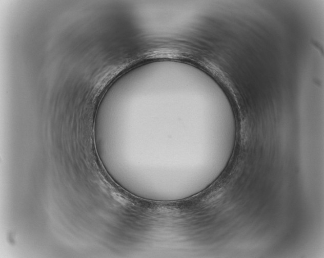 X0000099540529200805301502