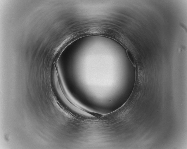 X0000099540530200805301502