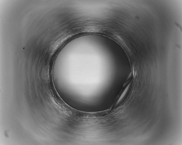 X0000099540531200805301502