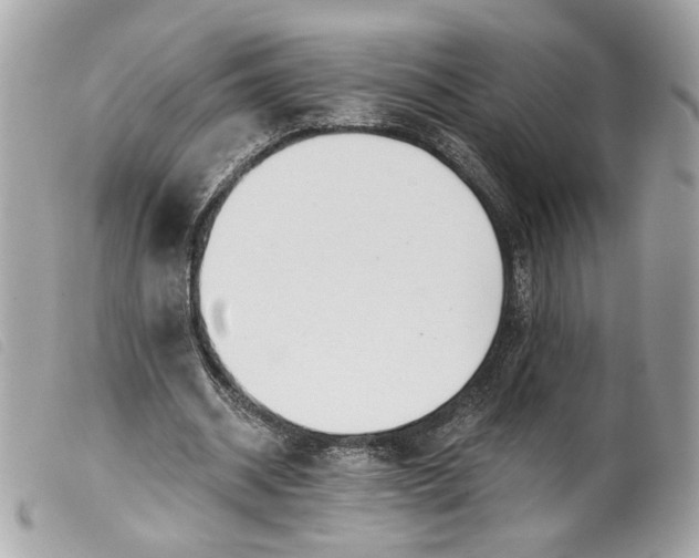 X0000099540534200805301502