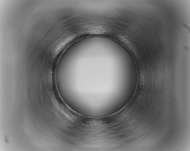 X0000099540535200805301502