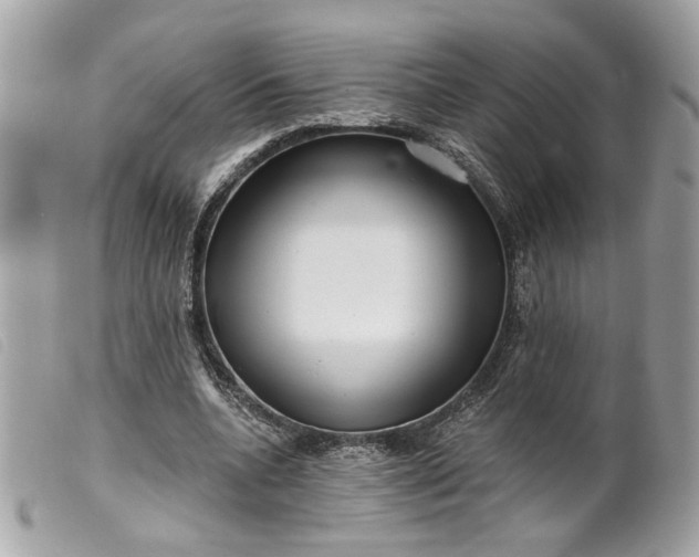 X0000099540536200805301502