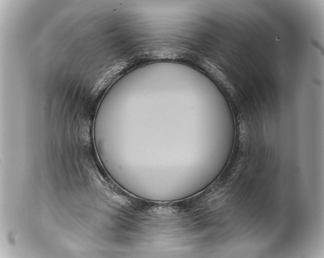 X0000099540537200805301502