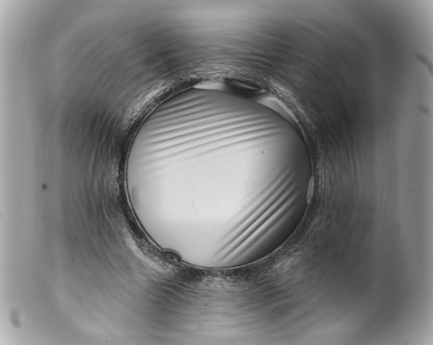 X0000099540538200805301502