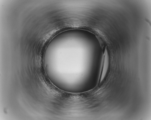 X0000099540540200805301502