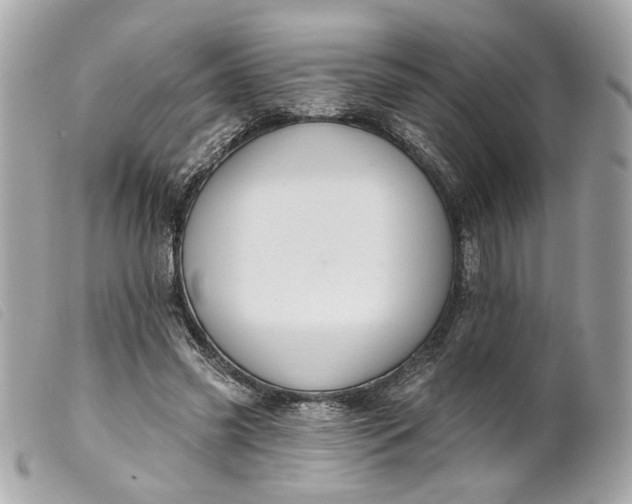 X0000099540541200805301502