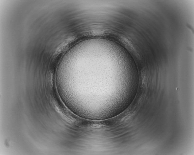 X0000099540542200805301502