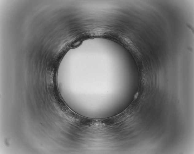 X0000099540543200805301502