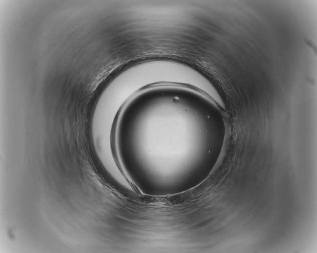 X0000099540544200805301502