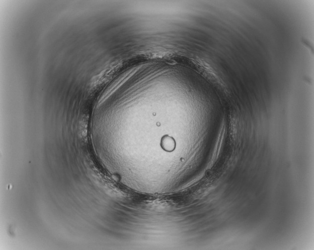 X0000099540545200805301502