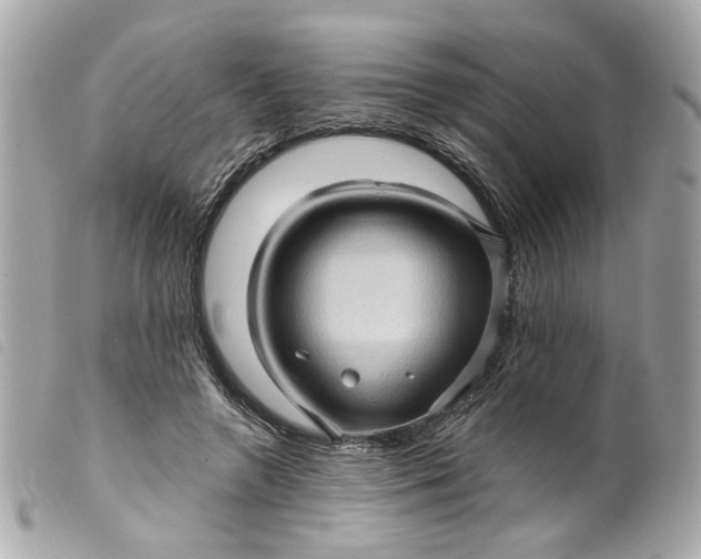 X0000099540546200805301502