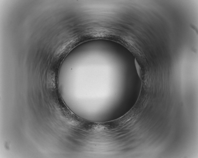 X0000099540547200805301502