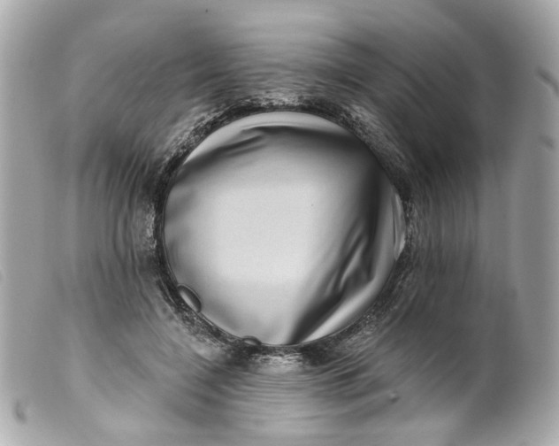 X0000099540548200805301502