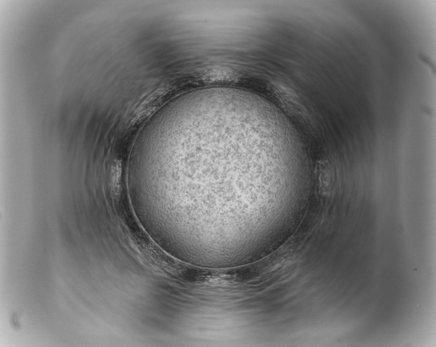 X0000099540550200805301502