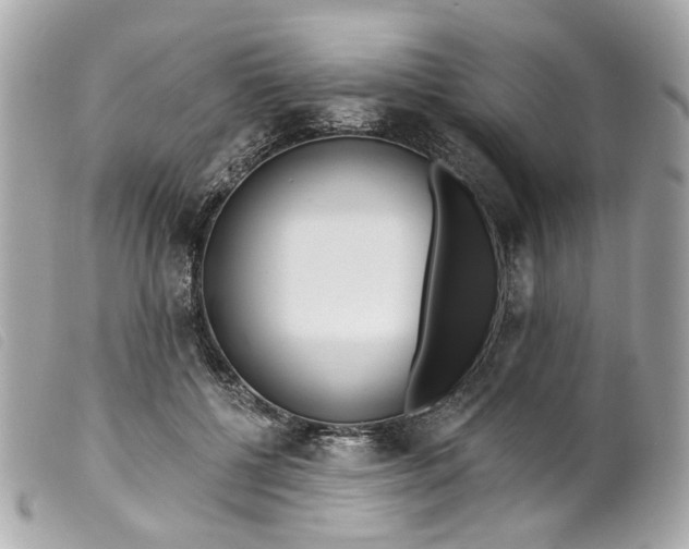 X0000099540552200805301502