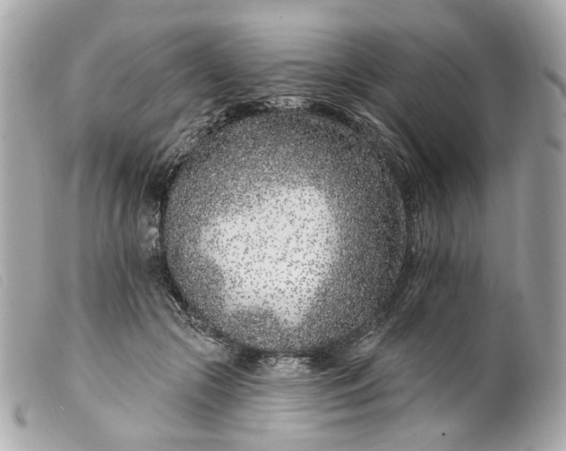 X0000099540553200805301502