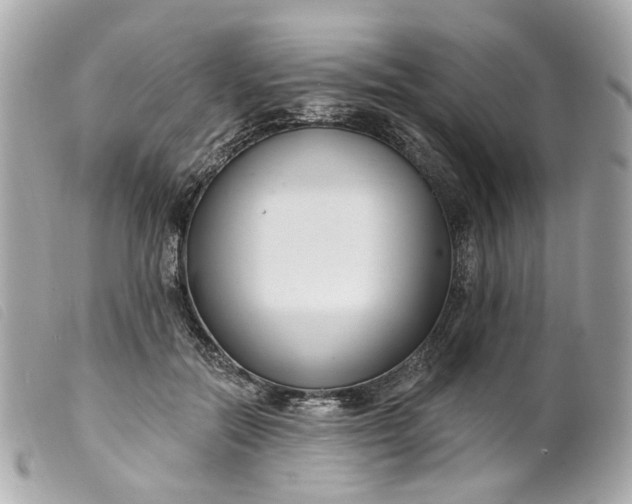 X0000099540554200805301502