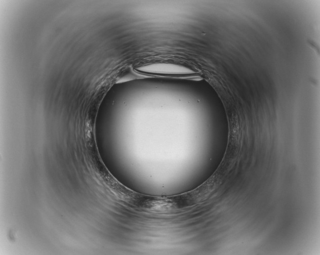 X0000099540555200805301502